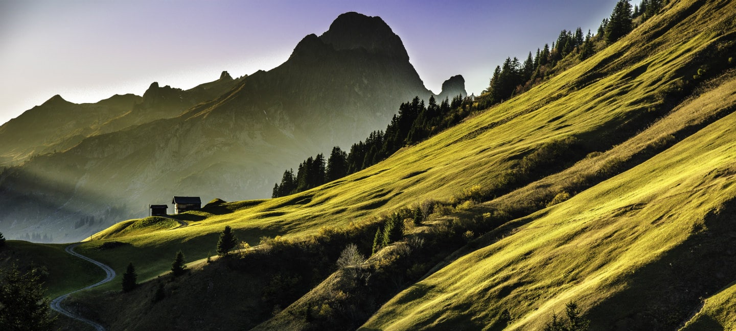 Alpenpanorama mit Bergwiese und Heustadel