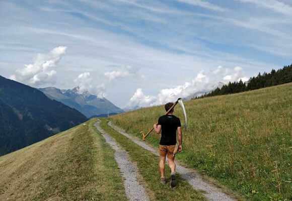 Almheu von steilen Tiroler Bergwiesen von ALMUT von Wildheim