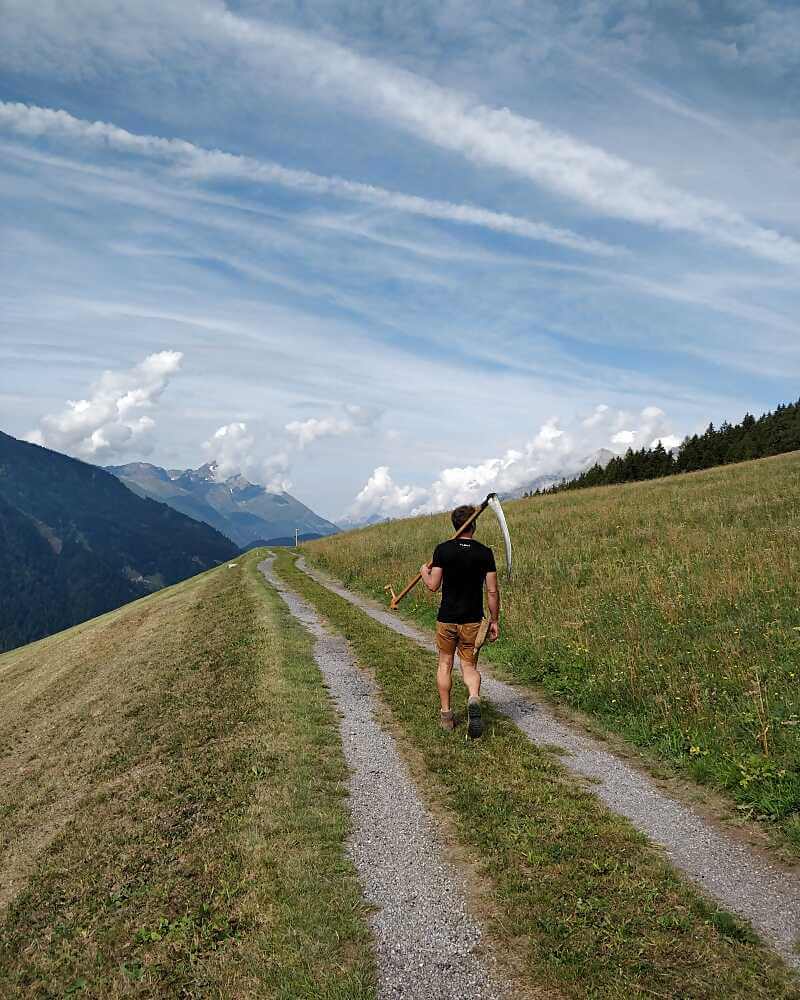 Almheu von steilen Tiroler Bergwiesen von ALMUT von Wildheim